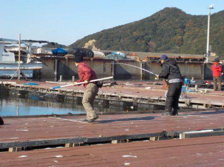 淡路じゃのひれフィッシングパーク 釣果