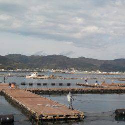 淡路じゃのひれフィッシングパーク 釣果