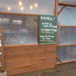 淡路じゃのひれフィッシングパーク 釣果