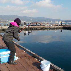 淡路じゃのひれフィッシングパーク 釣果