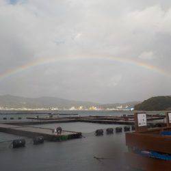 淡路じゃのひれフィッシングパーク 釣果