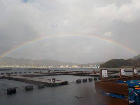 淡路じゃのひれフィッシングパーク 釣果