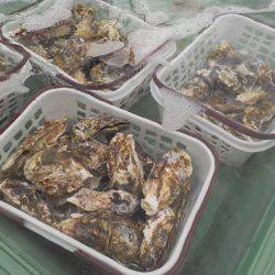 淡路じゃのひれフィッシングパーク 釣果