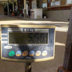 淡路じゃのひれフィッシングパーク 釣果