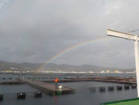 淡路じゃのひれフィッシングパーク 釣果