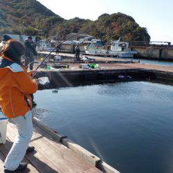 淡路じゃのひれフィッシングパーク 釣果