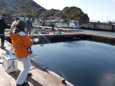 淡路じゃのひれフィッシングパーク 釣果
