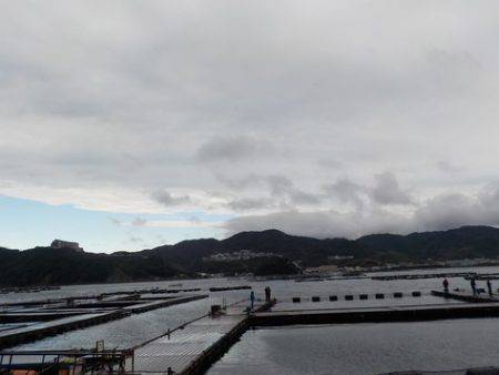 淡路じゃのひれフィッシングパーク 釣果