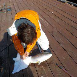 淡路じゃのひれフィッシングパーク 釣果