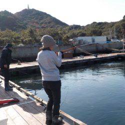 淡路じゃのひれフィッシングパーク 釣果