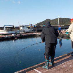 淡路じゃのひれフィッシングパーク 釣果