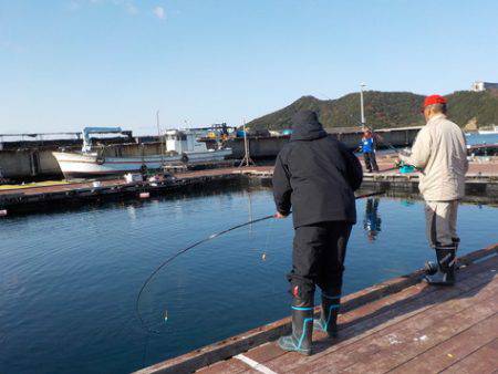 淡路じゃのひれフィッシングパーク 釣果