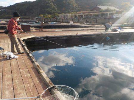 淡路じゃのひれフィッシングパーク 釣果