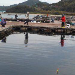 淡路じゃのひれフィッシングパーク 釣果