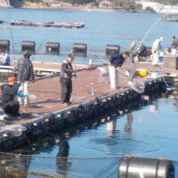 淡路じゃのひれフィッシングパーク 釣果