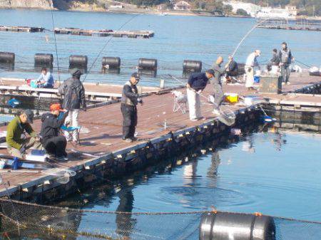 淡路じゃのひれフィッシングパーク 釣果