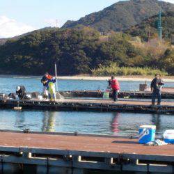 淡路じゃのひれフィッシングパーク 釣果