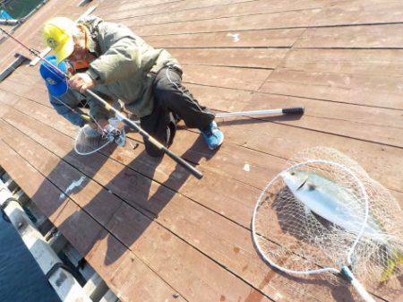 淡路じゃのひれフィッシングパーク 釣果
