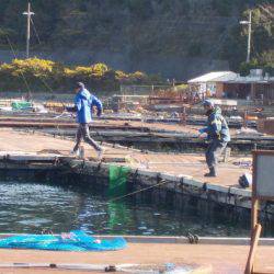 淡路じゃのひれフィッシングパーク 釣果