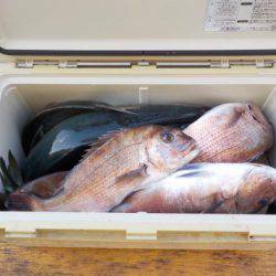 淡路じゃのひれフィッシングパーク 釣果