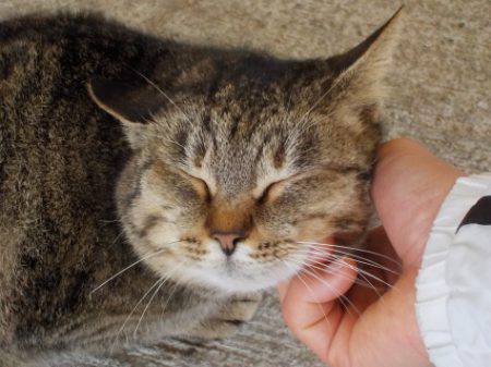 淡路じゃのひれフィッシングパーク 釣果