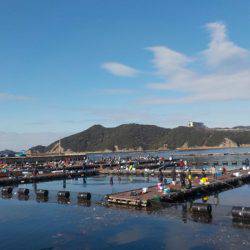 淡路じゃのひれフィッシングパーク 釣果