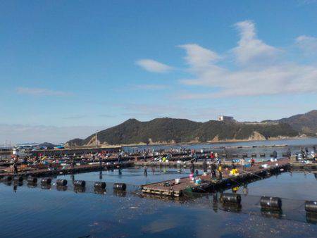 淡路じゃのひれフィッシングパーク 釣果