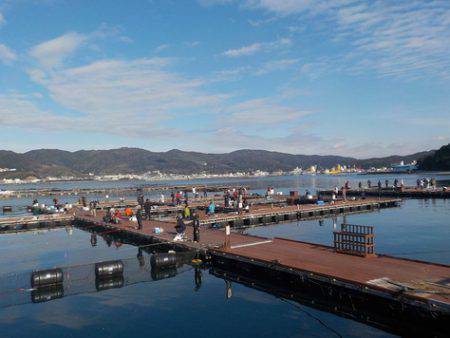 淡路じゃのひれフィッシングパーク 釣果