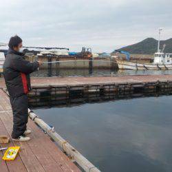 淡路じゃのひれフィッシングパーク 釣果