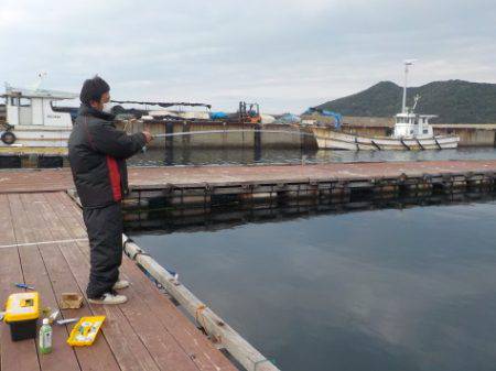 淡路じゃのひれフィッシングパーク 釣果