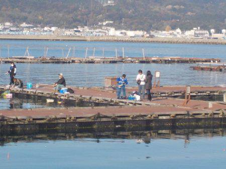 淡路じゃのひれフィッシングパーク 釣果