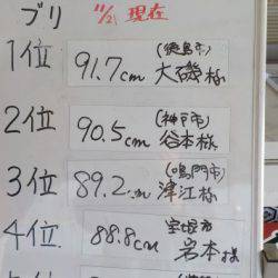 淡路じゃのひれフィッシングパーク 釣果