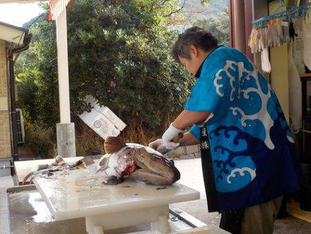 淡路じゃのひれフィッシングパーク 釣果