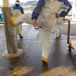 淡路じゃのひれフィッシングパーク 釣果