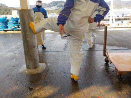 淡路じゃのひれフィッシングパーク 釣果