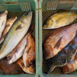 淡路じゃのひれフィッシングパーク 釣果