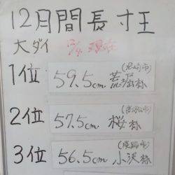 淡路じゃのひれフィッシングパーク 釣果