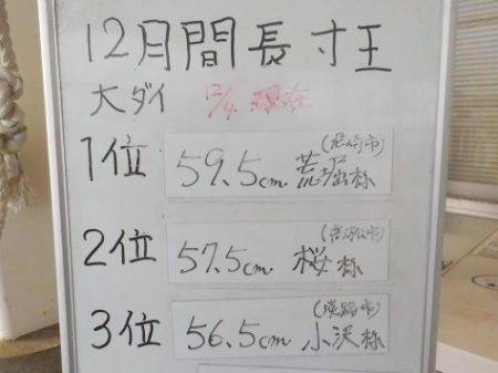 淡路じゃのひれフィッシングパーク 釣果