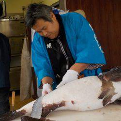 淡路じゃのひれフィッシングパーク 釣果