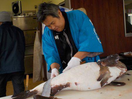 淡路じゃのひれフィッシングパーク 釣果