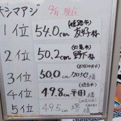 淡路じゃのひれフィッシングパーク 釣果