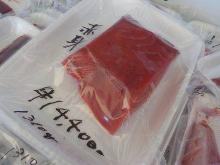 淡路じゃのひれフィッシングパーク 釣果