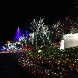 淡路じゃのひれフィッシングパーク 釣果