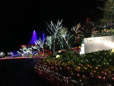 淡路じゃのひれフィッシングパーク 釣果