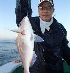 第二むつ漁丸 釣果