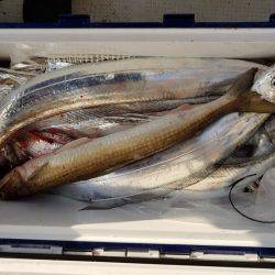 遊漁船 ニライカナイ 釣果