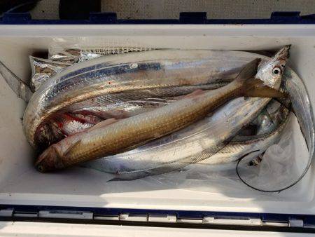 遊漁船 ニライカナイ 釣果