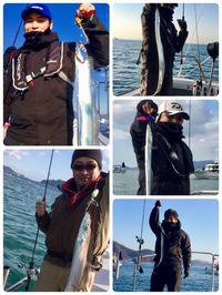 YELLOW-TAIL　イエローテール 釣果