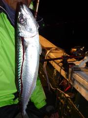 松福丸 釣果