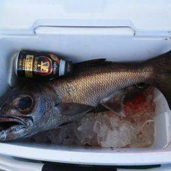 武勝丸(ぶしょうまる) 釣果